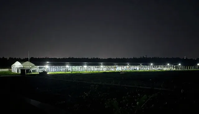 开荒保洁的保洁性能如何影响实际效果?